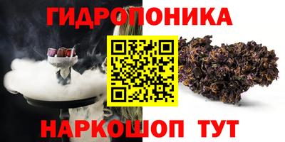 спайс Тара