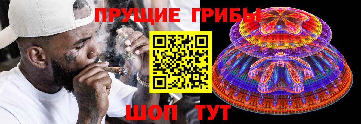 Псилоцибиновые грибы Psilocybine cubensis Острогожск