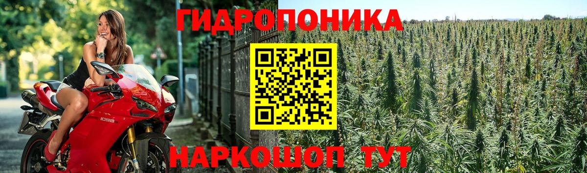 Бошки Шишки AK-47 Острогожск